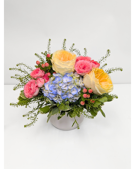 Apricot Lane Deluxe in Arlington, Carrolton & Plano | In Bloom Flowers