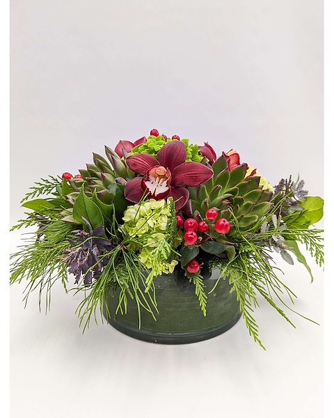 Christmas Succulents Arrangement