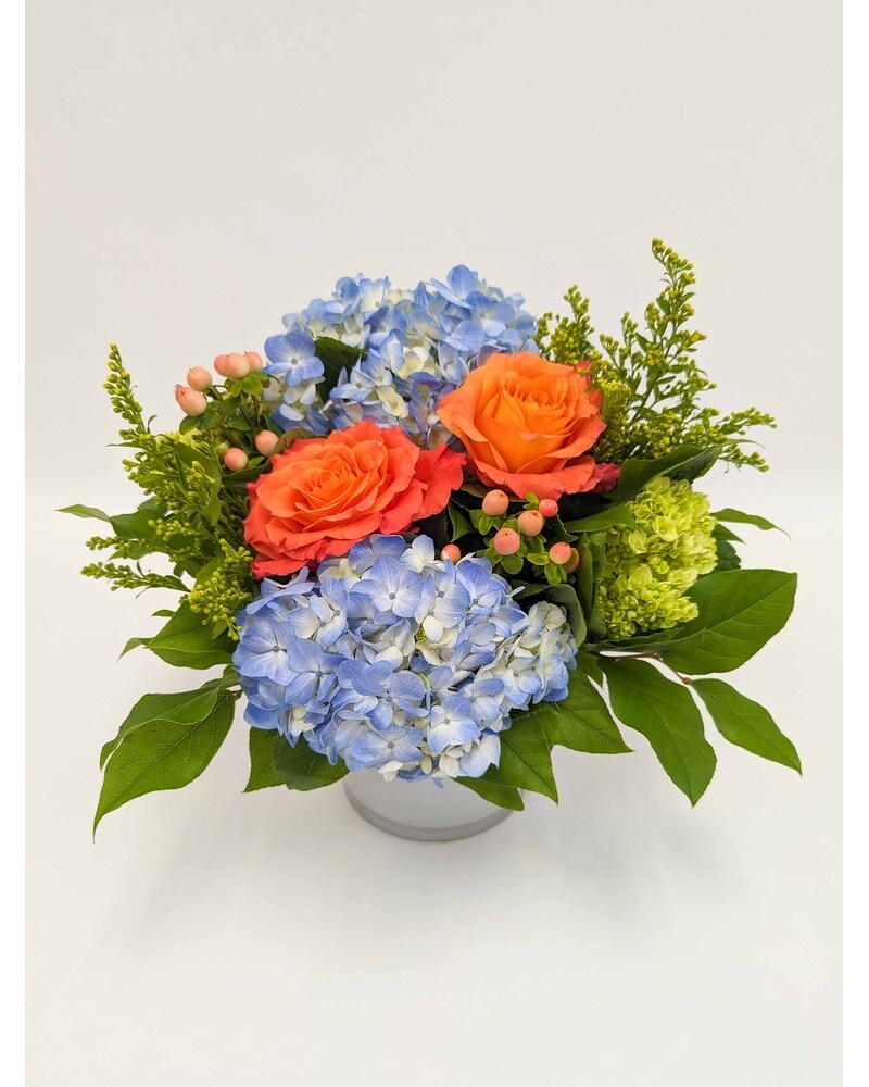 Citrus Sky in Arlington, Carrolton & Plano | In Bloom Flowers