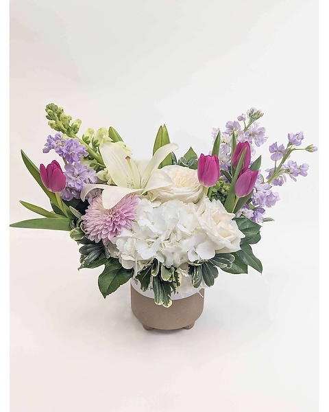 Mint Julep in Arlington, Carrolton & Plano | In Bloom Flowers