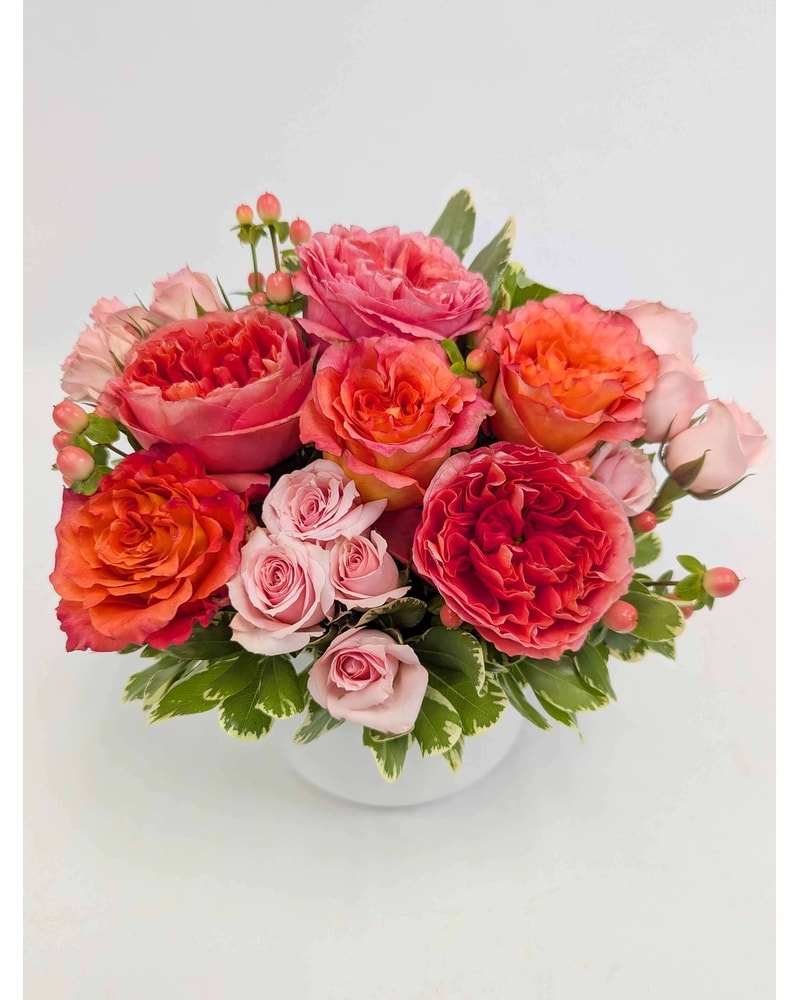 Apricot Lane in Arlington, Carrolton & Plano | In Bloom Flowers