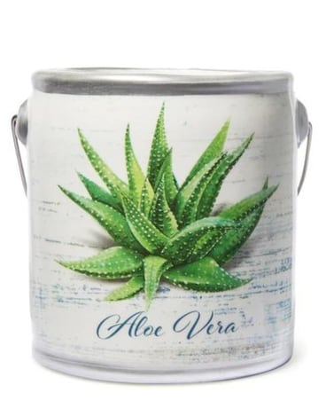 Aloe Vera Farm Fresh Candle Custom product