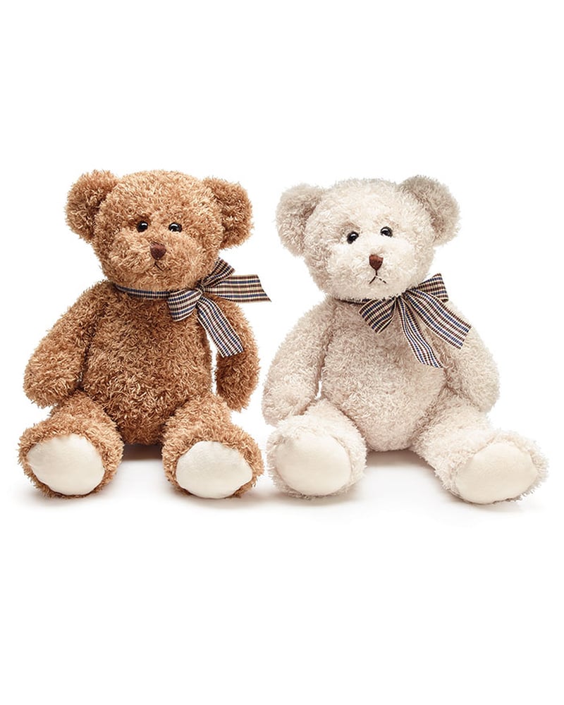 Medium Bear in Orlando FL - Windermere Flowers & Gifts