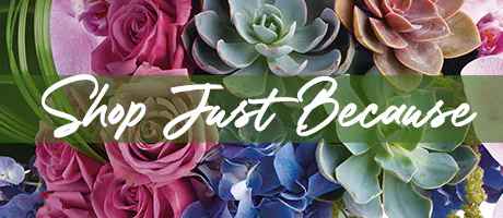 Beautiful Seasonal Flowers Banner