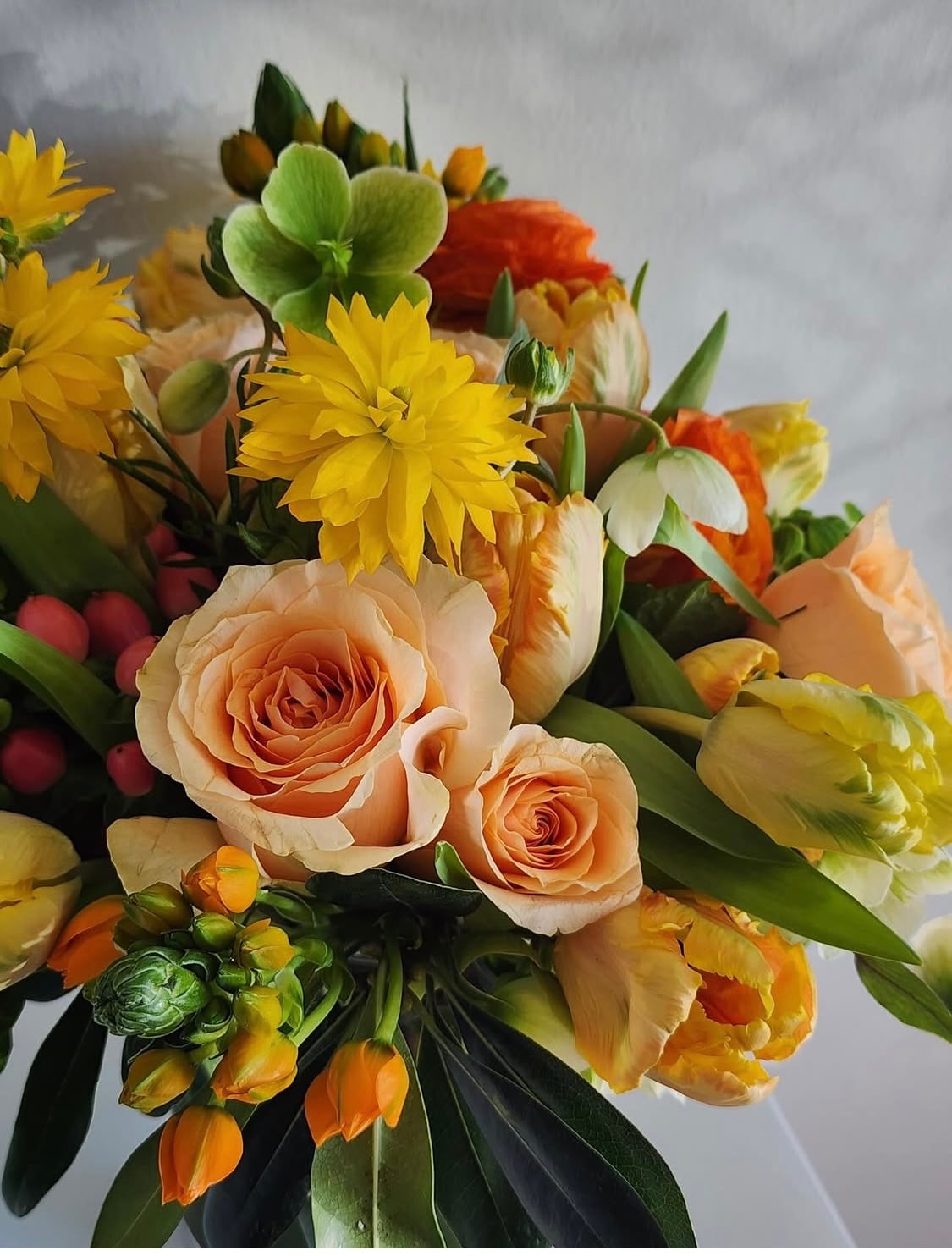 Deal of the Day - by The Secret Garden