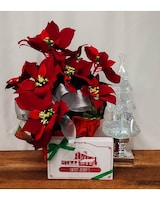 Silver Tree size,  inches height and  inches wide.