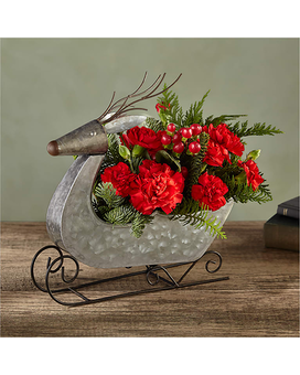 FTD Prancer Flower Arrangement