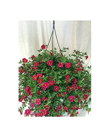 Million Bells basket (bright Not guaranteed)