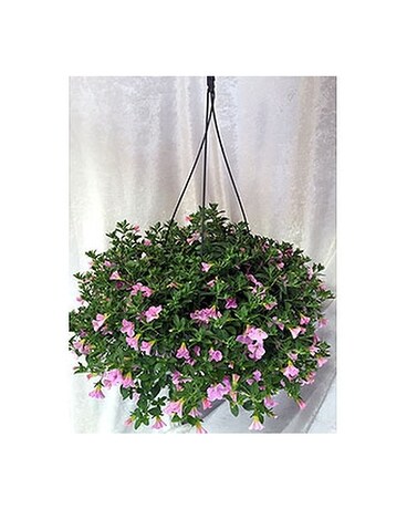 Million Bells basket (pastel Not guaranteed)