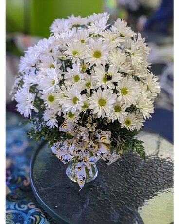 White daisy arrangement Flower Arrangement