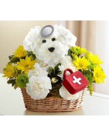 Doggie Howser M.D.™