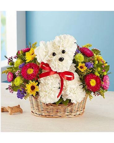 a-DOG-able® in a Basket