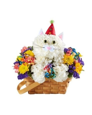 Purrfect Party Cat™