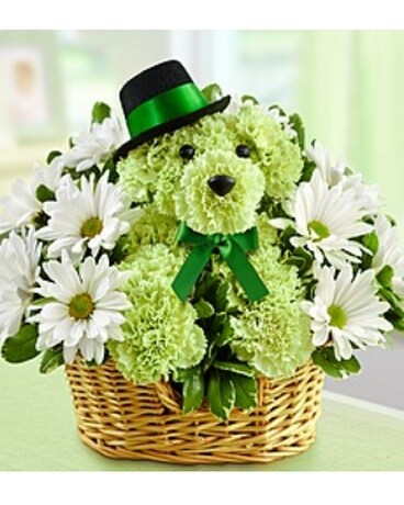 Lucky™ Flower Arrangement