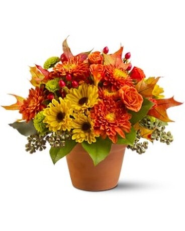 Sugar Maples Flower Arrangement