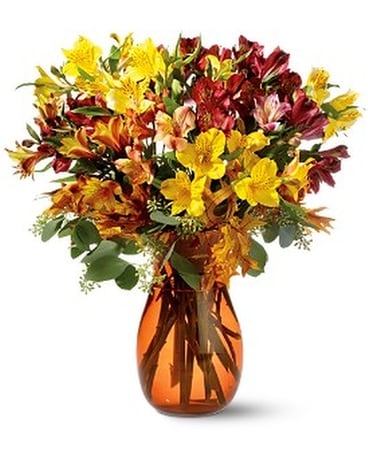 Alstroemeria Brights Flower Arrangement