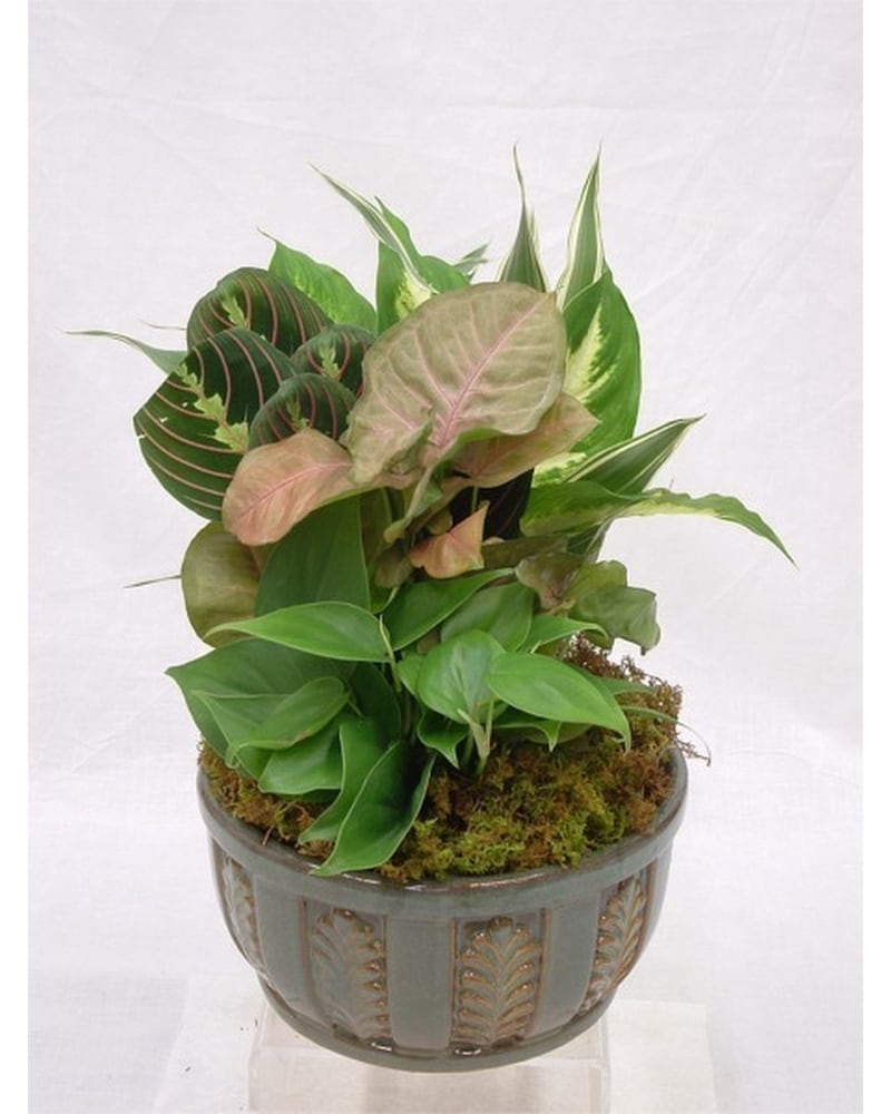 Colorful Flowers#! Delivery !#New Paltz#! !#NY#! - !#Colonial