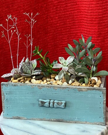 Succulent Garden Flower Arrangement