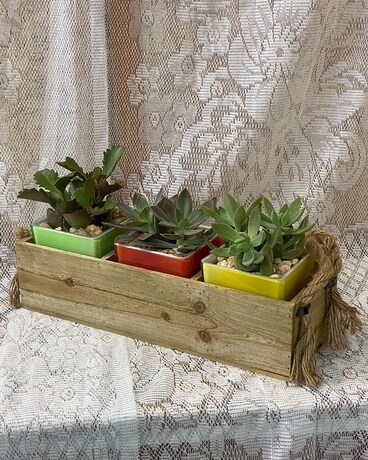 Lovely Succulent's Flower Arrangement
