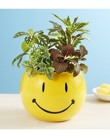 Have A Good Day Dish Garden Flower Arrangement