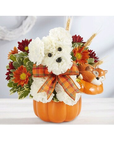 Puppy Pumpkin Bouquet Flower Arrangement