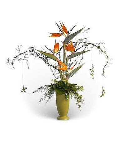 Paradise Found Flower Arrangement