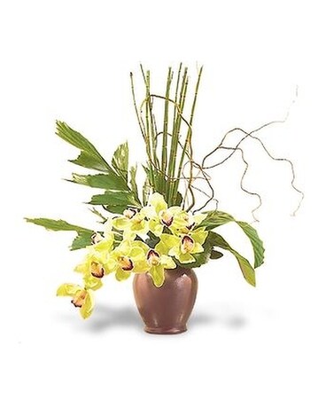 Glory of Green Orchids Flower Arrangement
