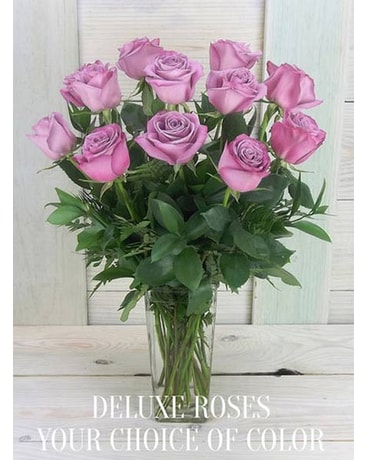 Single Colors DZ Deluxe Roses - Pollard's Florist