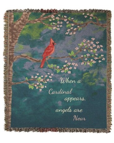 Cardinal Afghan