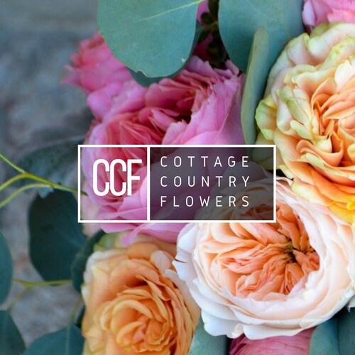 Huntsville Florist Flower Delivery By Cottage Country Flowers