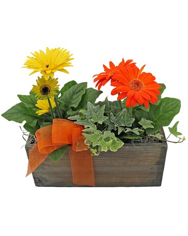 Mom's Garden Flower Arrangement
