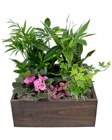 Tranquil Expressions Flower Arrangement