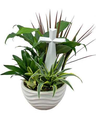 Peaceful Plant Assortment Flower Arrangement