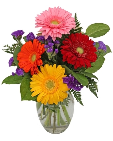 Gerbera Delight Flower Arrangement