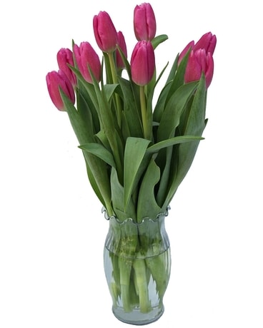 Terrific Tulips Flower Arrangement