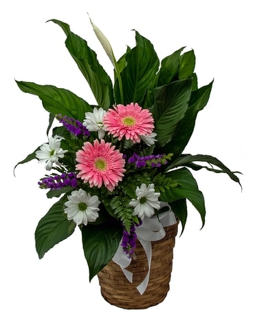 Traditional Dozen Roses in Zeeland MI - Don's Flowers & Gifts