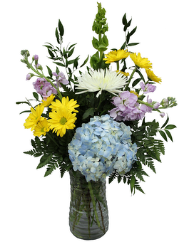 Standard size, 25 inches height and 16 inches wide.