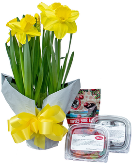 Spring Gift Box Flower Arrangement