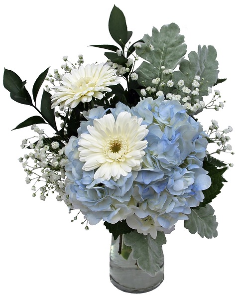 Welcome Baby Boy in Zeeland MI Don's Flowers Gifts