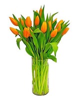 Standard size,  inches height and  inches wide.