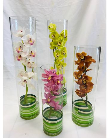 Elegant orchids in Cylinder Vase Flower Arrangement