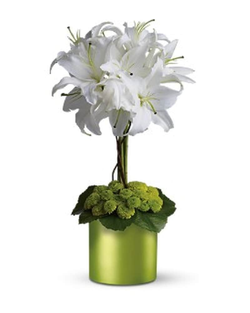 Modern Flowers Delivery Parksley VA - Floral Express & Gifts