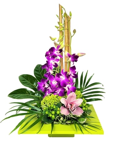 Zen Blossoms Flower Arrangement