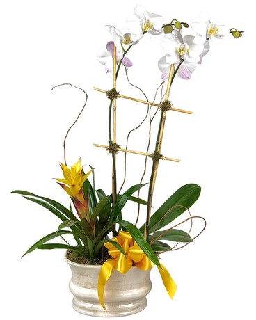 Sonny Flower Arrangement