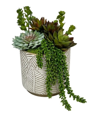 Silk Succulent Leaf Motif Gifts