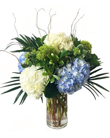 Hello Hydrangea Flower Arrangement
