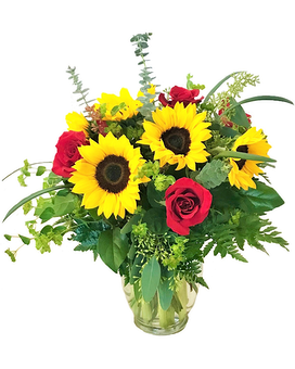Standard size, 20 inches height and 15 inches wide.