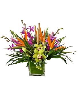Standard size, 16 inches height and 18 inches wide.