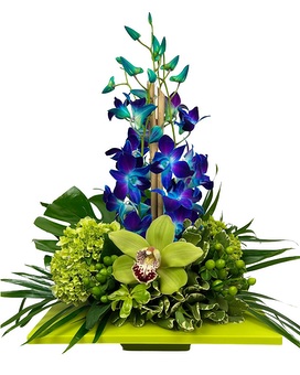 Standard size, 20 inches height and 15 inches wide.