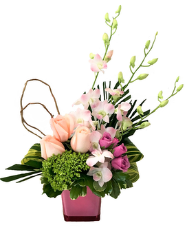 Standard size, 15 inches height and 11 inches wide.